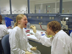 Wie im Krimi können die Teilnehmer des Schülerlabors Speichelproben nehmen und den Täter anhand des genetischen Fingerabdrucks überführen. Foto: D. Eppen/UKJ