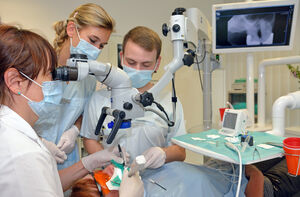 Endodontie-Ausbildung am Uniklinikum Jena, Foto: M. Szabo/UKJ