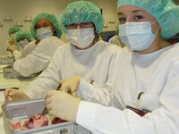 Jenny und Lena (v.r.) als Herzchirurgen im Schülerlabor. Foto: vdG/UKJ