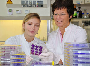 PD Dr. Michaela Schmidtke (r.) und Mitarbeiterin Martina Richter bei der Bewertung antiviraler Tests. Foto: M.Szabo/UKJ