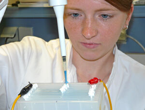 Projektmitarbeiterin Katharina Pfohl bereitet die Elektrodialyse in einer Versuchskammer vor. Foto: (vdG/UKJ)