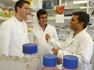 Der Doktorand Nilabh Ranjan betreut seinen indischen Landsmann Rajan Singh und Milutin Radonjic aus Montenegro (v.r.) in einem Praktikum der Summer School Molecular Medicine. Foto: vdG/UKJ