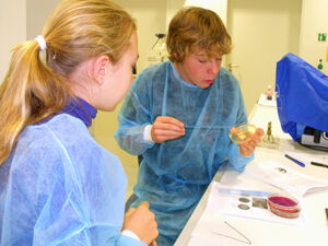 Spannende biomedizinische Experimente im Schülerlabor. Foto: D.Eppen/UKJ