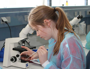 Das Schülerlabor am Uniklinikum bietet in den Herbstferien unter anderem spannende mikro- biologische Experimente. Foto: D. Eppen(UKJ)