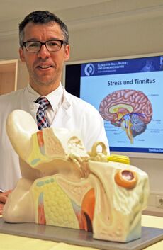 Prof. Dr. Orlando Guntinas-Lichius, Direktor der HNO-Klinik am Universitätsklinikum Jena (UKJ), dort ist das Tinnitus-Zentrum angesiedelt. (Foto: UKJ / Schleenvoigt) )