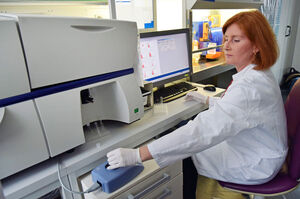 Die Wissenschaftlerin Dr. Sylvia Müller bearbeitet im Durchflusszytometrielabor eine  immunologische Fragestellung des Verbundes. Foto: M. Szabo/UKJ